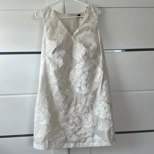 Ann Taylor Women Dress